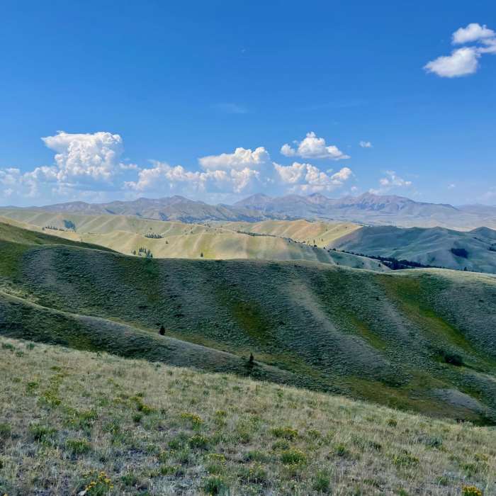 Near Continental Divide Trail: Montana-Idaho Section 5