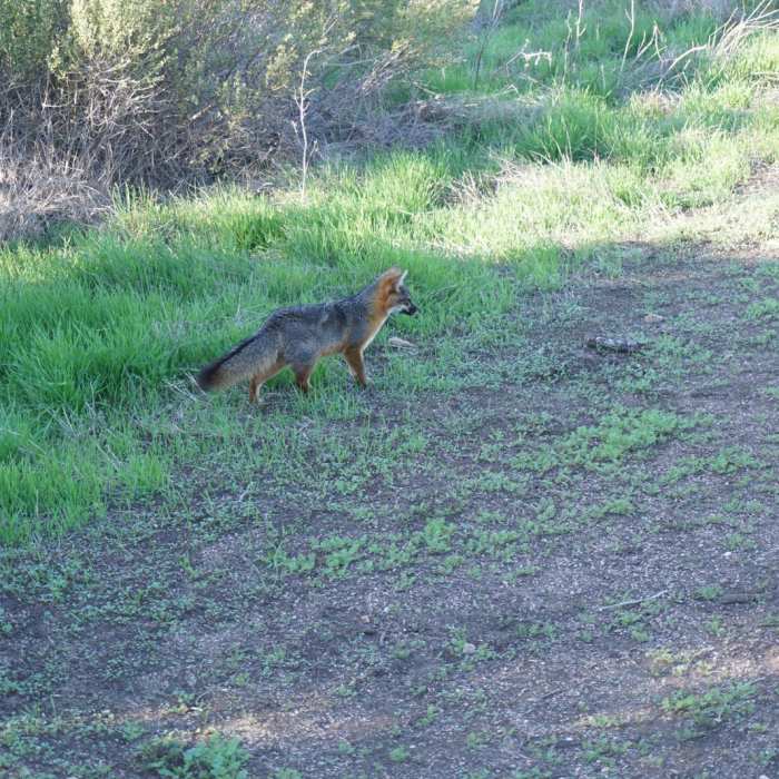 Near Santa Cruz Traverse
