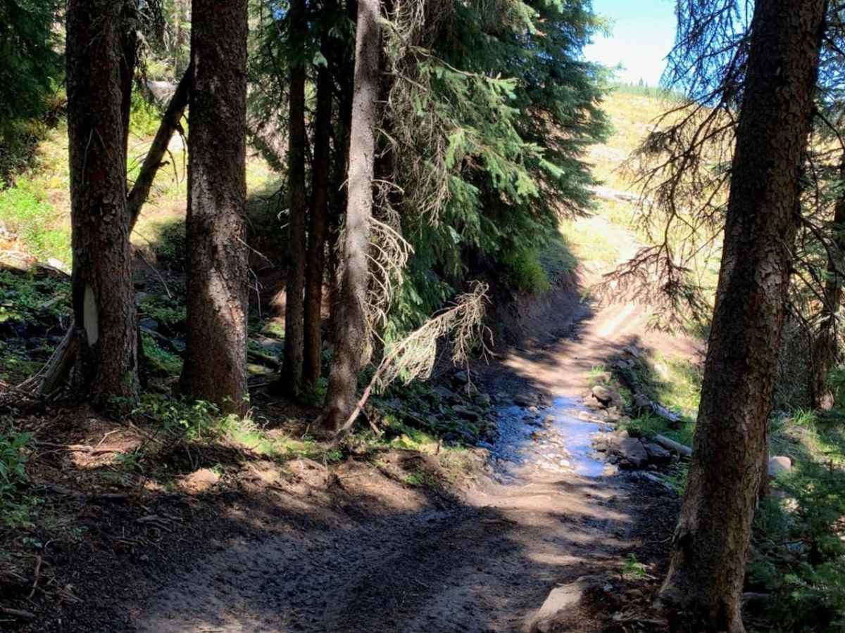 Park Creek/Salt Creek Loop photo 5