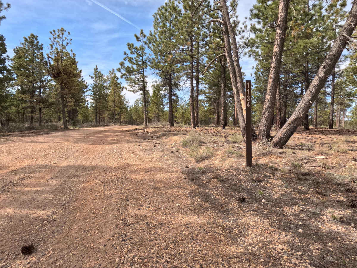 FS 31134 trail photo