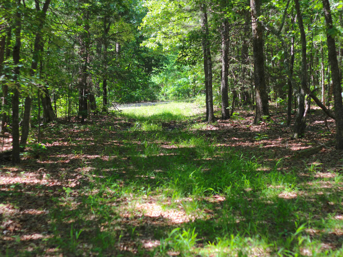 Bradley Ridge - FS 3521 photo 6