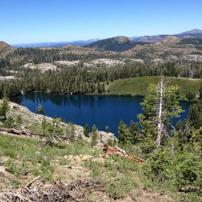 Near Grouse Ridge Trail
