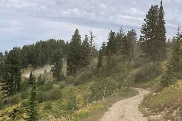 Sheep Rock