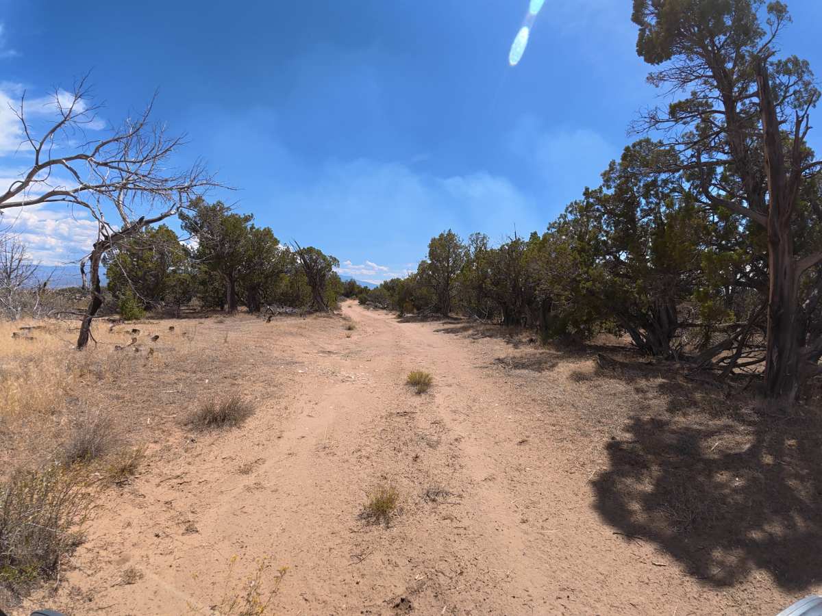 BLM 290 trail photo