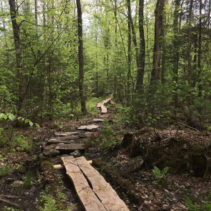 The trail is elevated through the large wetland. Near Ore Hill