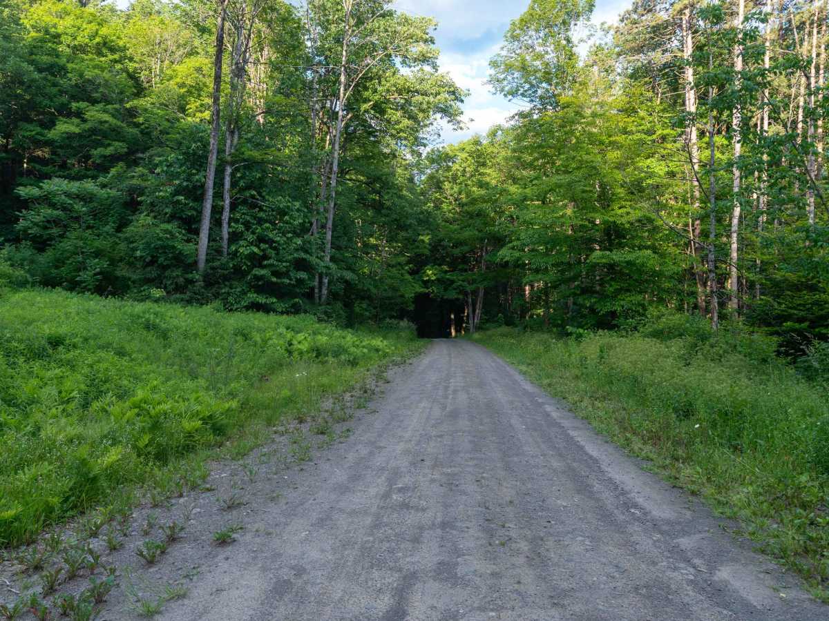 Truck Trail 8 photo 2