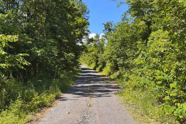 Moss Road - T-318