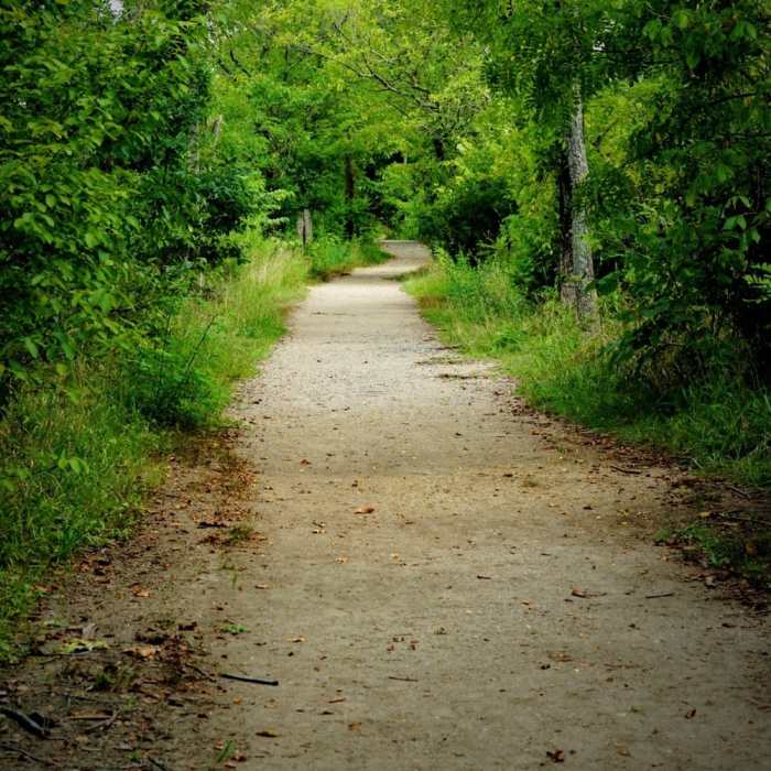 Dyke Marsh Trail Near Mount Vernon Trail