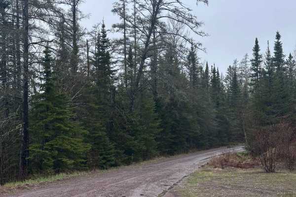 Pine Mountain Road