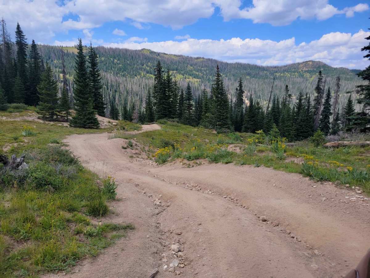 West Fork Park Creek Ascent photo 5