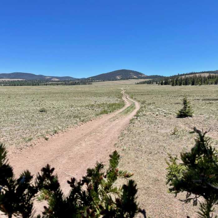 Near Colorado Trail Segment 18