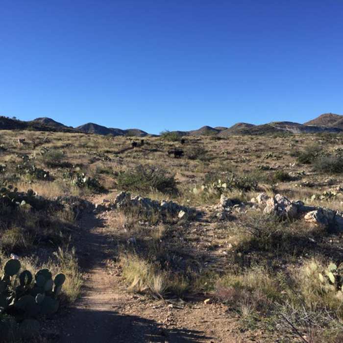 Near Honeybee Canyon Loop