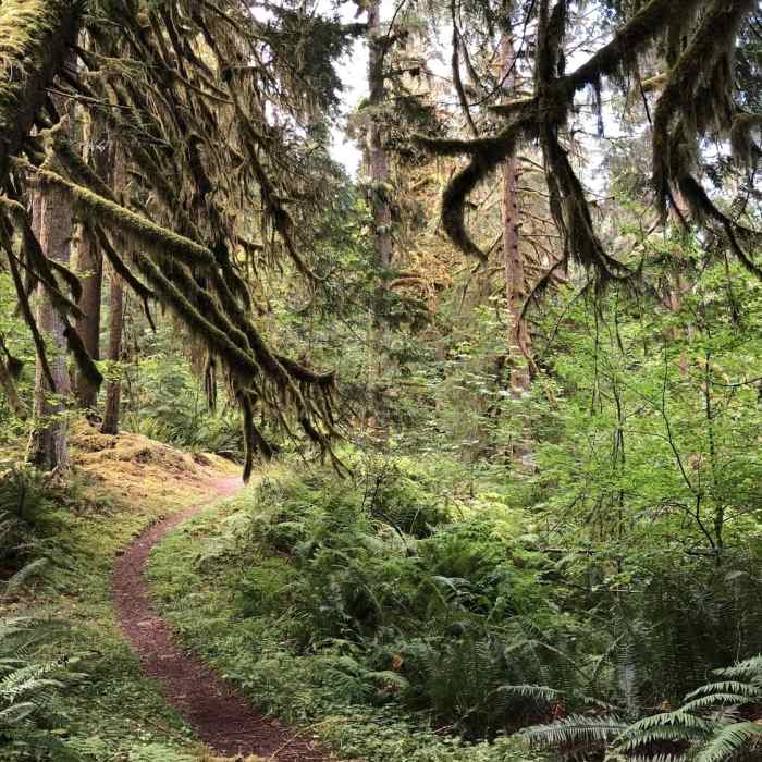 Near South Baker Lake to Maple Grove Camp