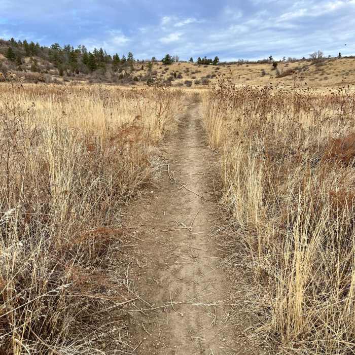 Near Upper Meadows, Ridge, Ponderosa, and Chamberlain Loop