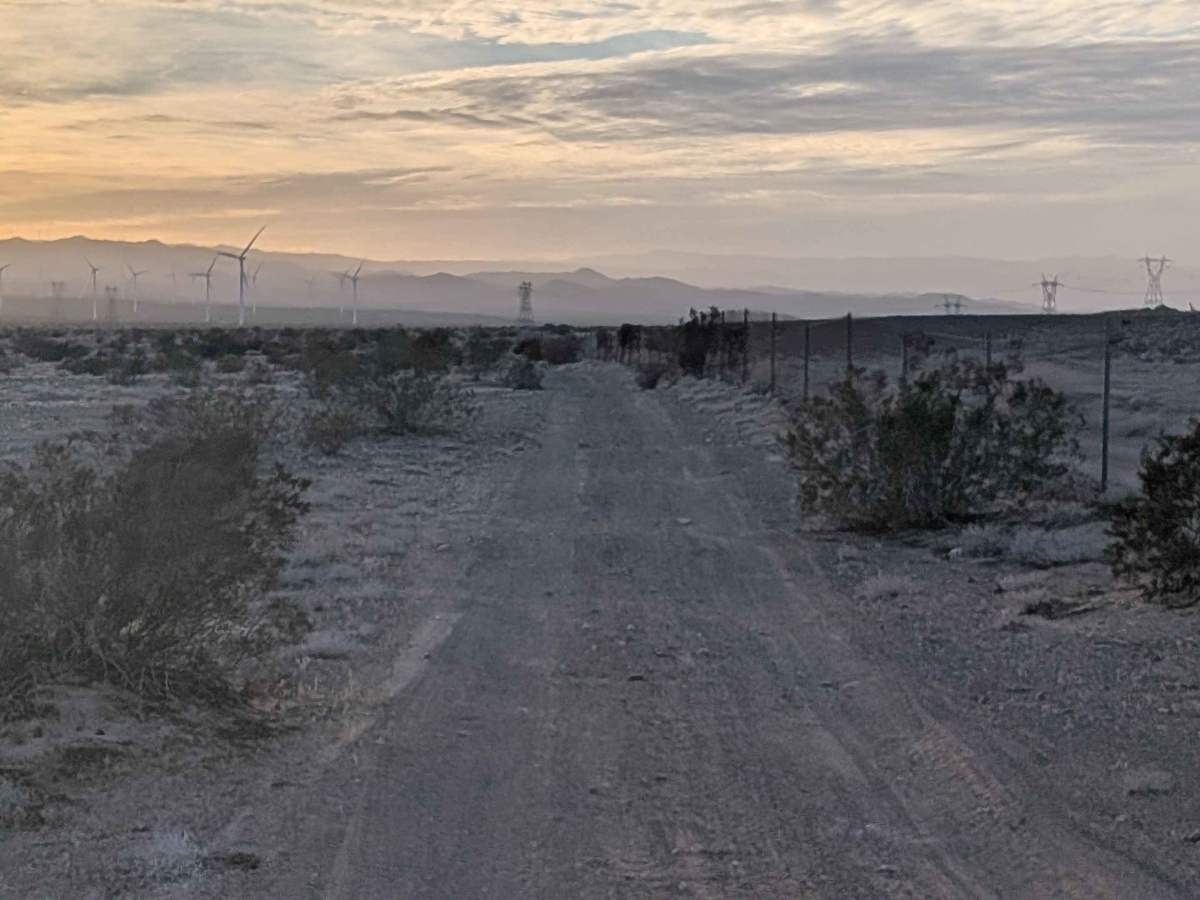 BLM 139 photo 5