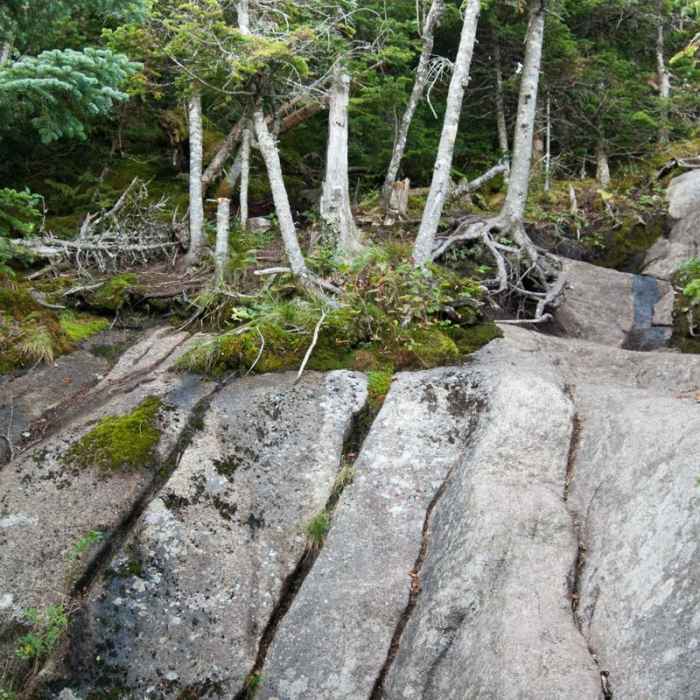 Near Big Slide Via The Brothers