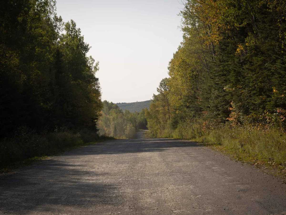 Dalhousie Road photo 3