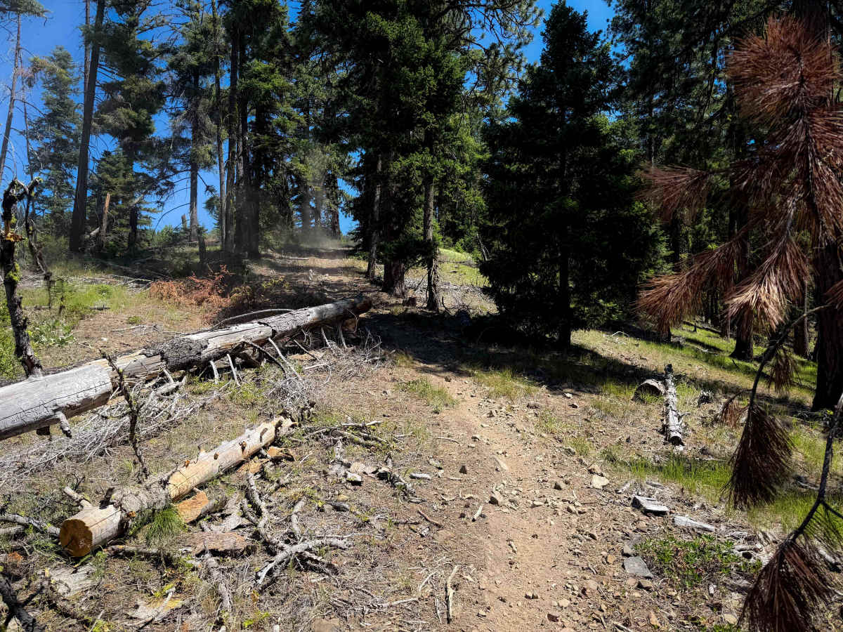 Snowshoe Ridge - FS 1368  photo 6