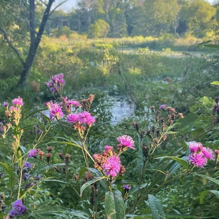 Near Leopold's Preserve