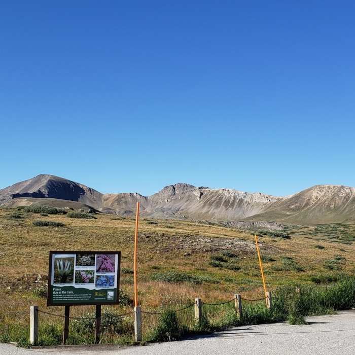 Near Independence Pass