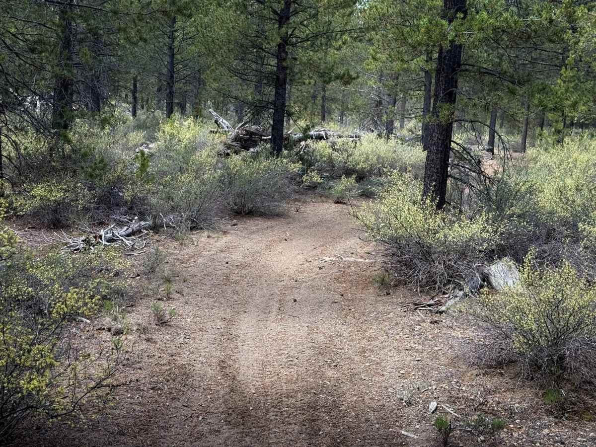 Trail 37  photo 5