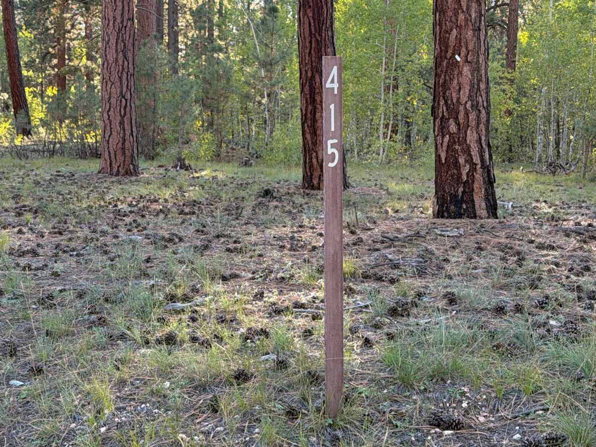 FS 415 trail photo