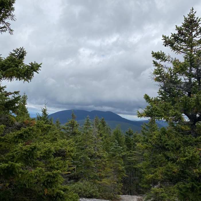 Near Old Speck Out and Back