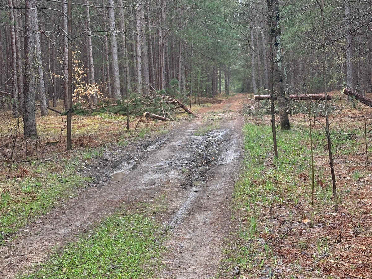 Hayesego Trail photo 3