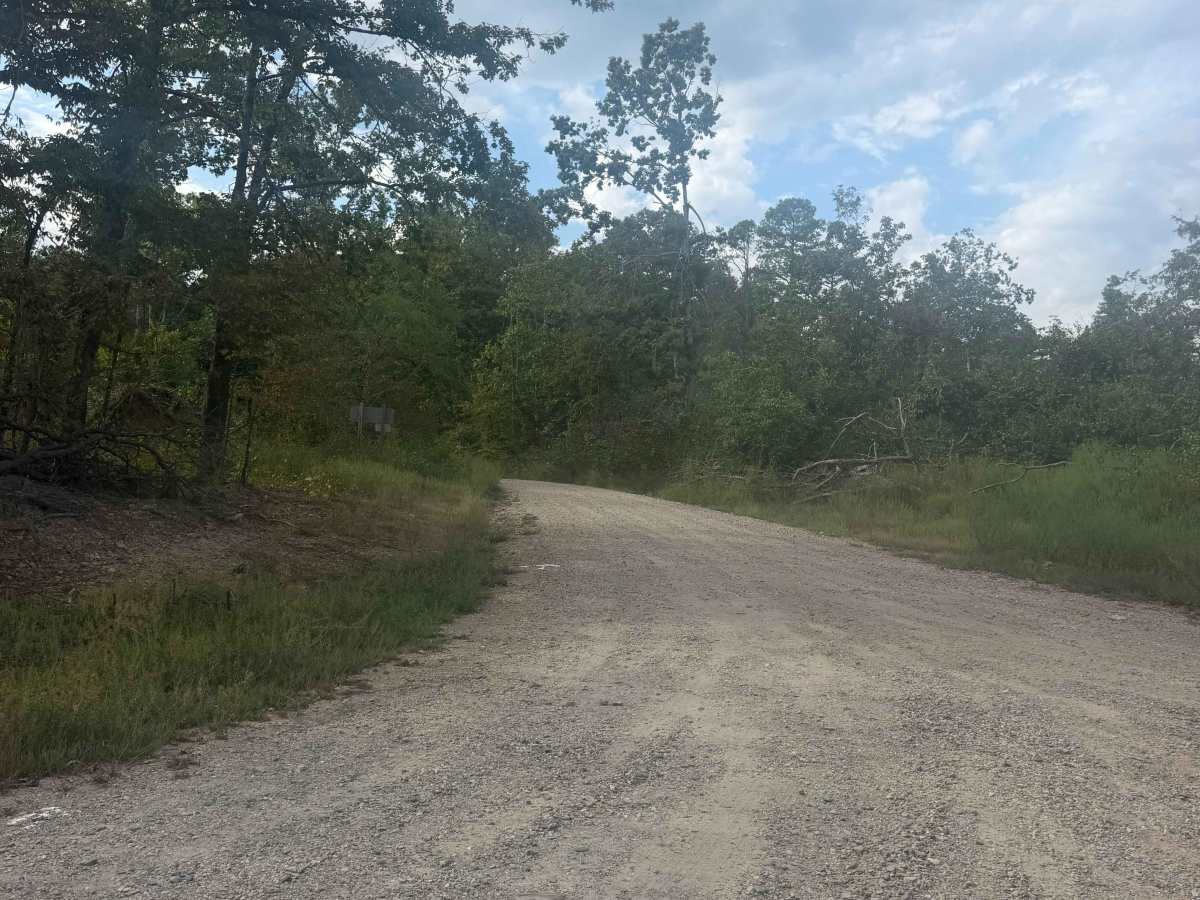 Reform Point trail photo