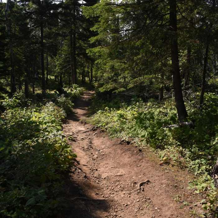 Near Lookout Mountain Loop Near Lookout Mountain Loop