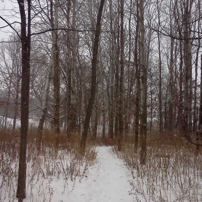 Near Ice Age Trail: Madison Segment