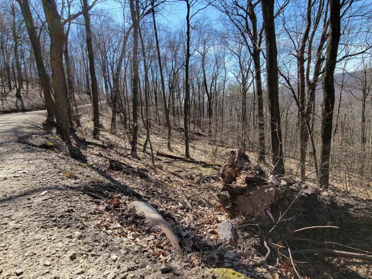 Germantown Road photo 3