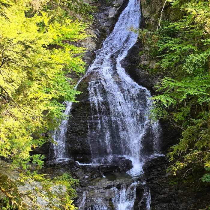Near Moss Glen Falls Out and Back
