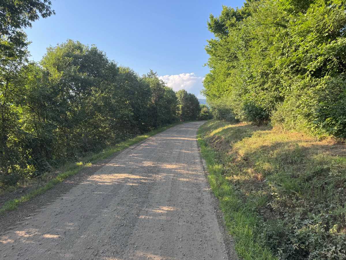 County Road 3271 trail photo