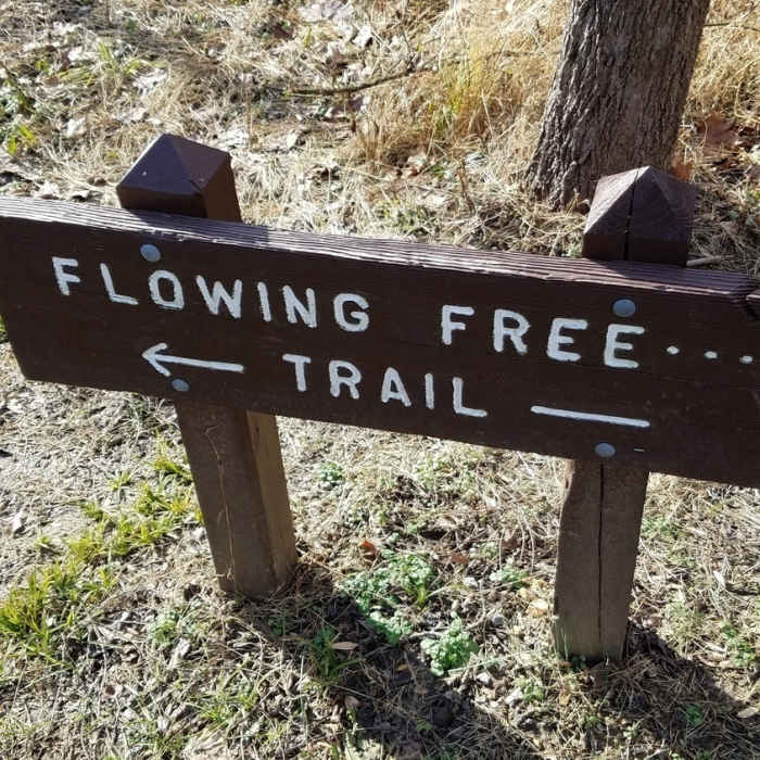 Near Free Flowing Trail
