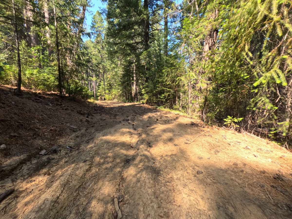 Moores Flat Diggings - FS 833-008 photo 6