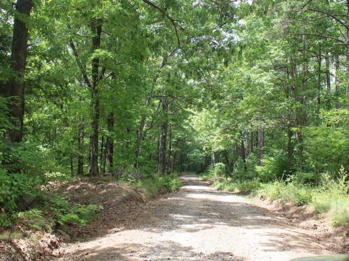 Polk 410 Stream & Camp photo 4