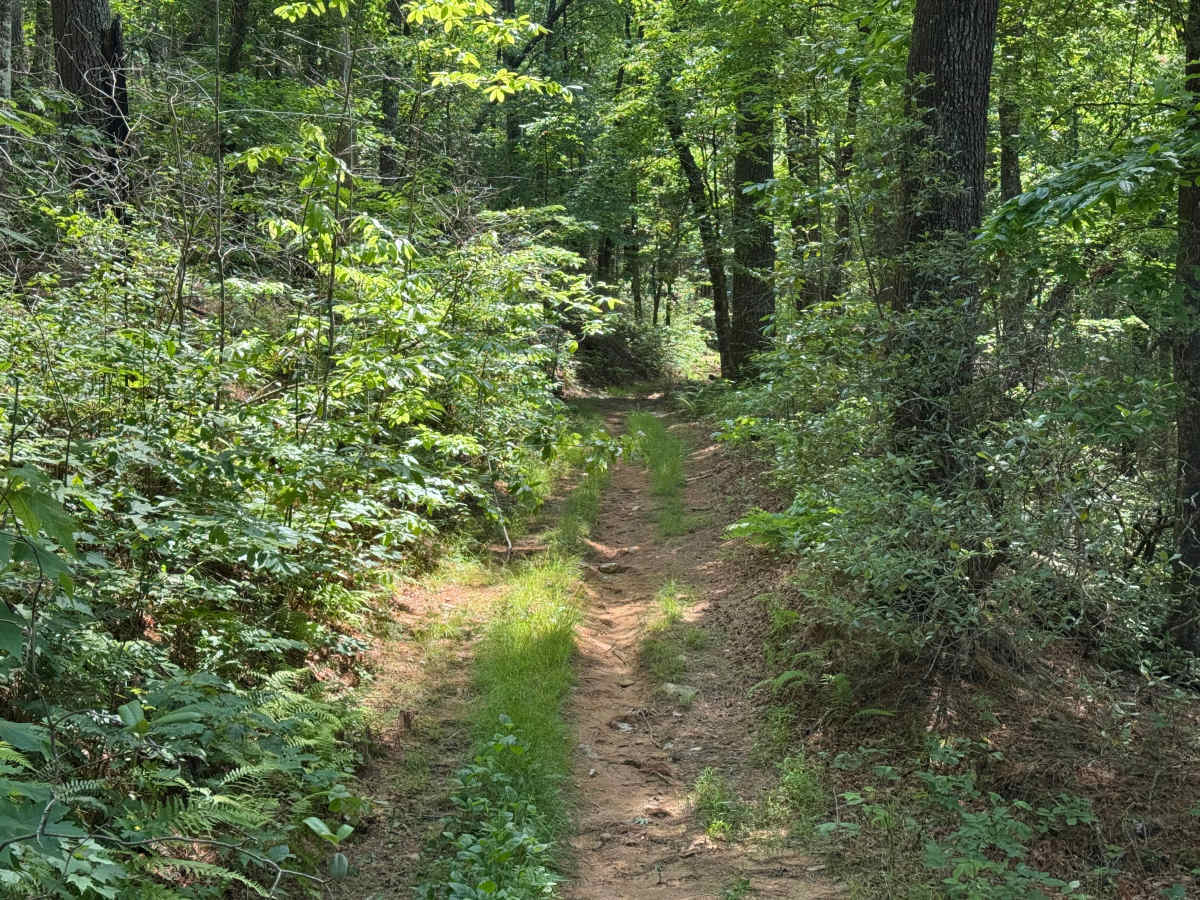 Slick Shoals - FS 24 photo 6