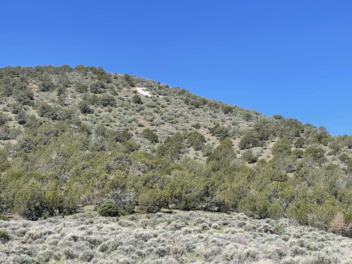 Westside "E" Mountain trail photo