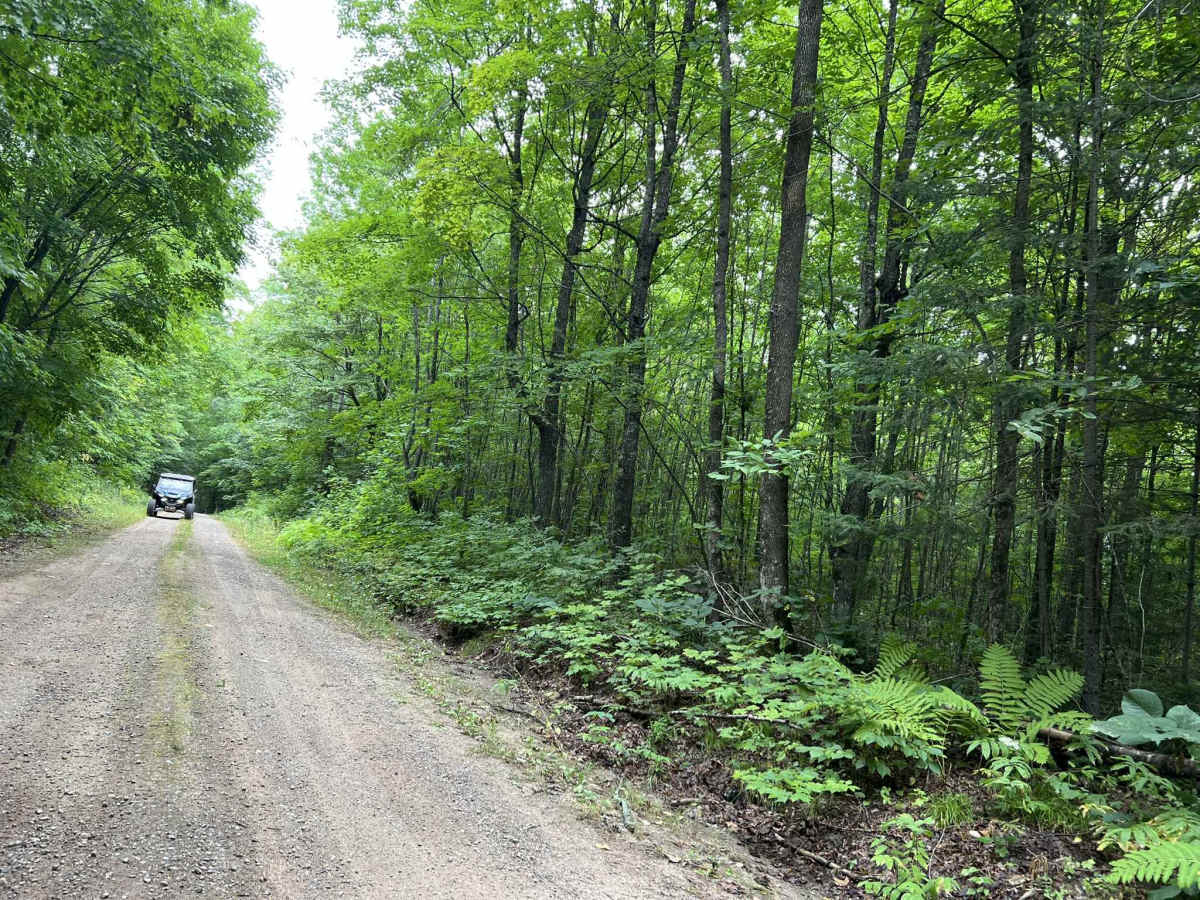 Loop Rd - FS 3903 photo 6