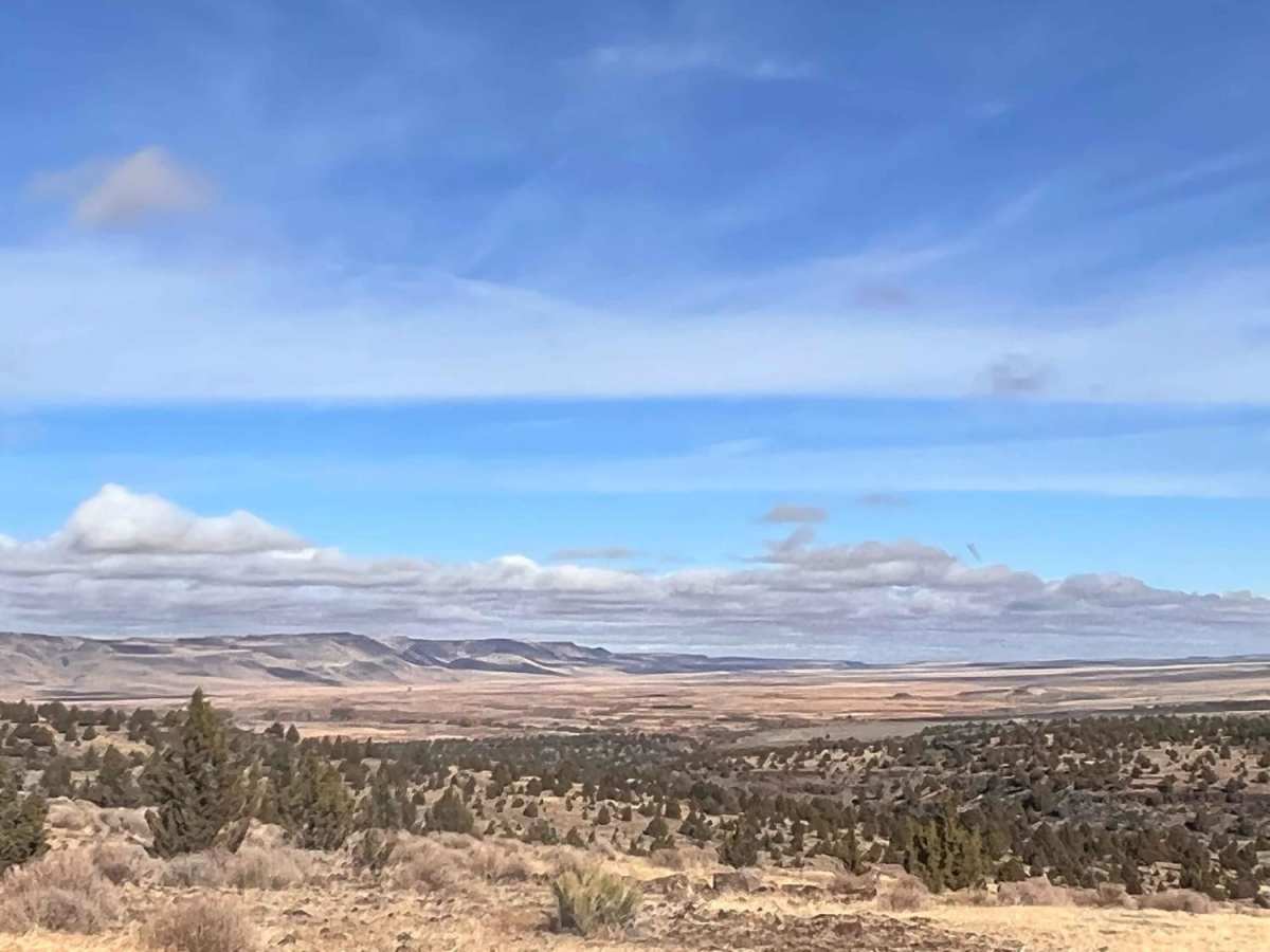 Steens Resort ODT trail photo