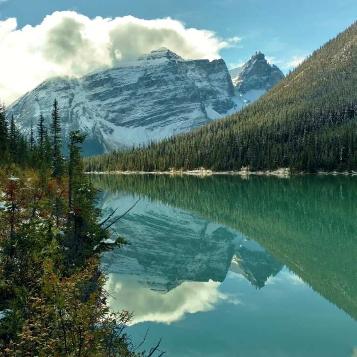 Near Sherbrooke Lake Trail