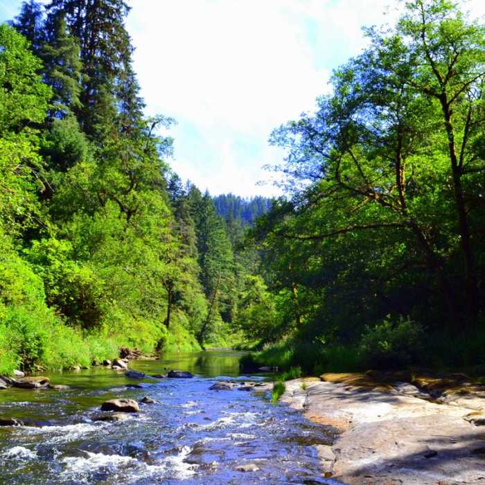 Near Harris Ranch Trail