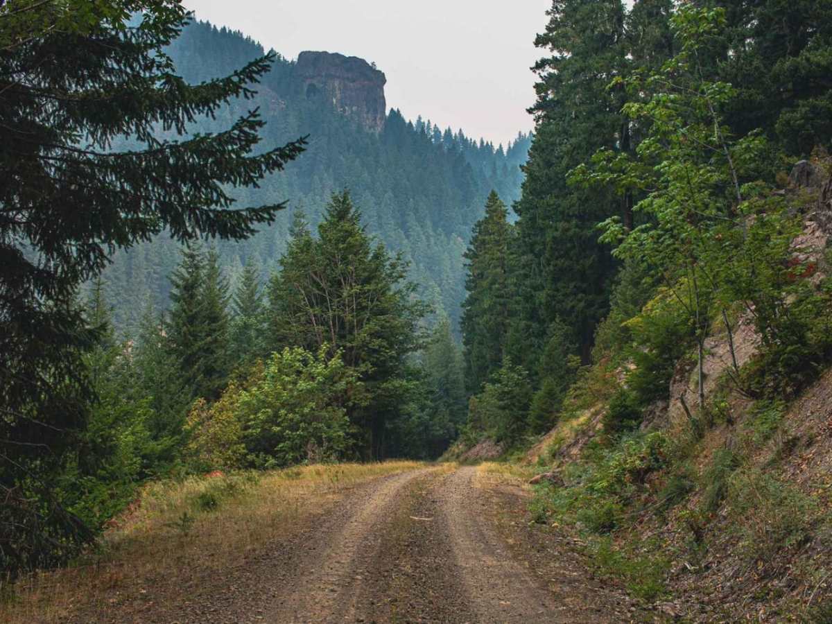 Trapper Creek photo 2