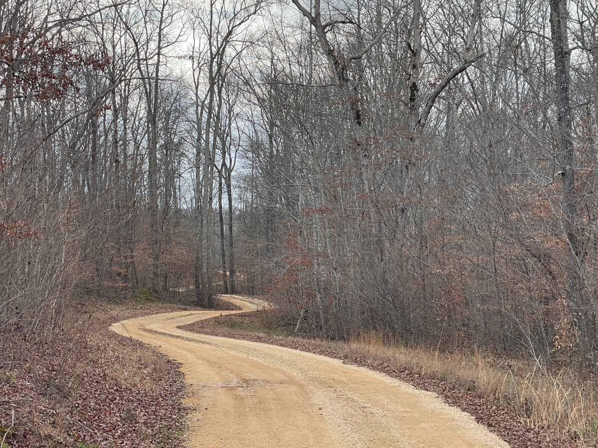 Burns Bottoms Road trail photo