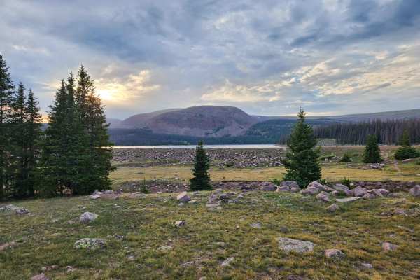 West Fork Whiterocks - FS 10110