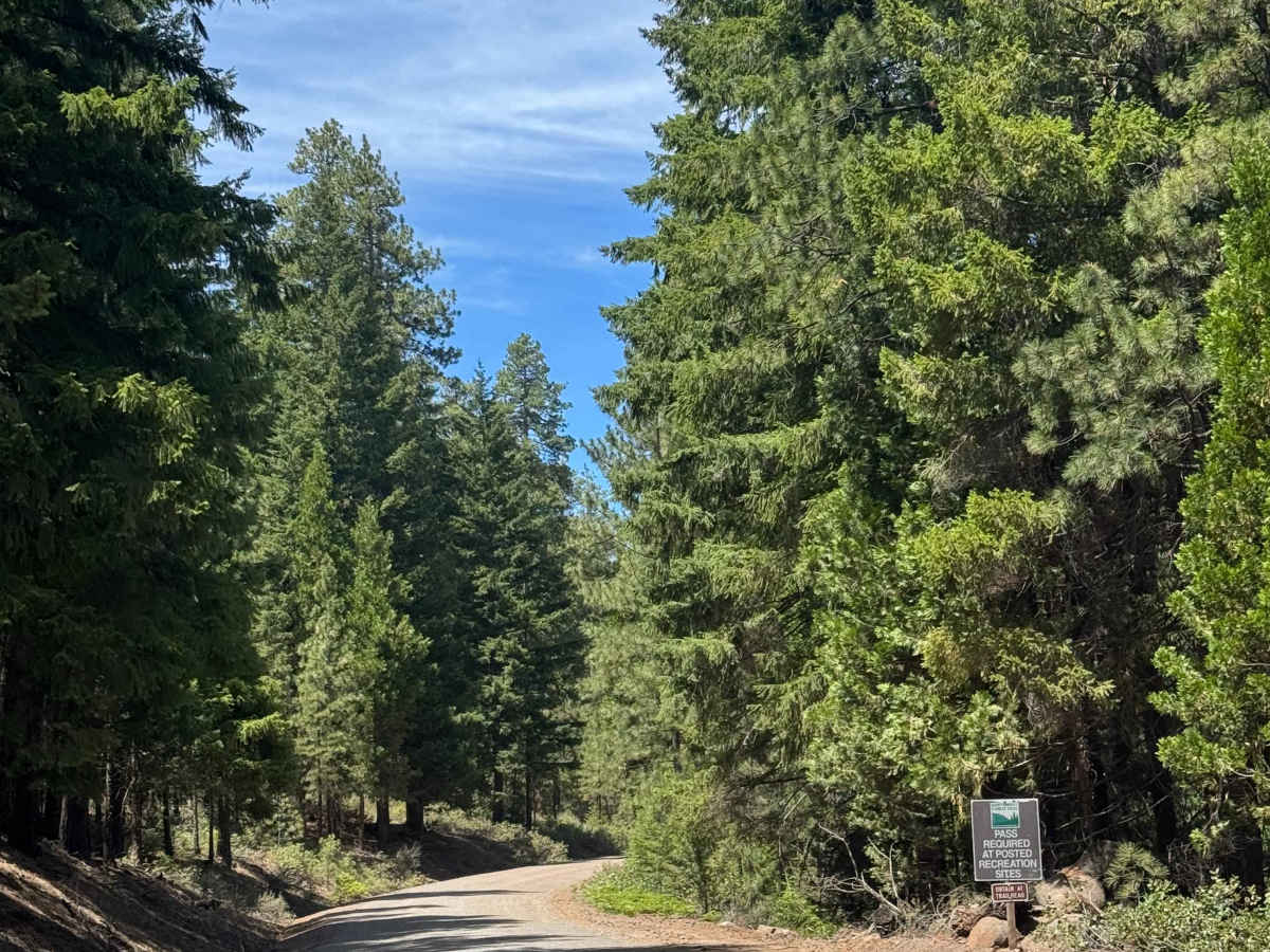 Black Butte Trail - FS 1110 photo 2