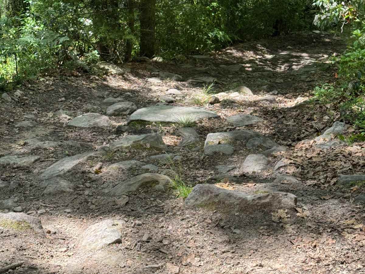 Molly's Meander photo 5