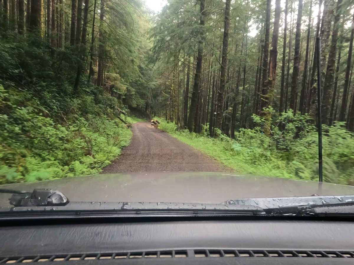 Bun Creek - NF1004 trail photo