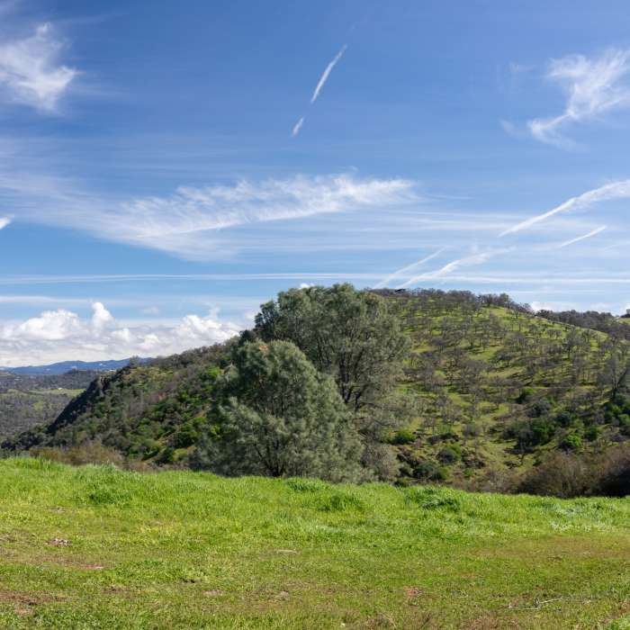 View from Gale Ridge across Fletcher Gulch. Near Mokelumne Coast to Crest Trail